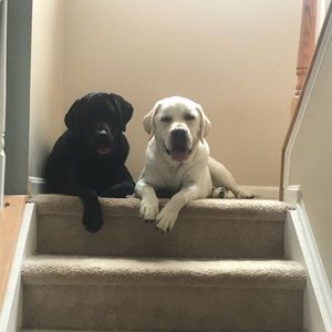 Meet your Posher, Sally